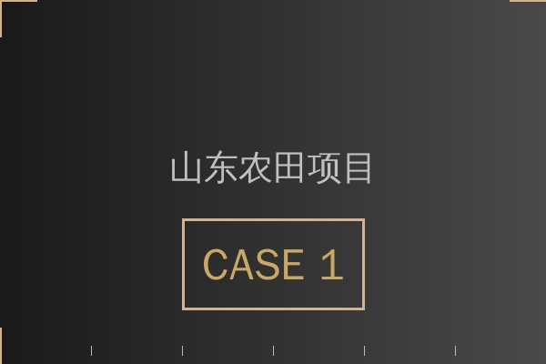 济南市中央公园园林灌溉项目
