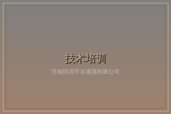 调试培训服务